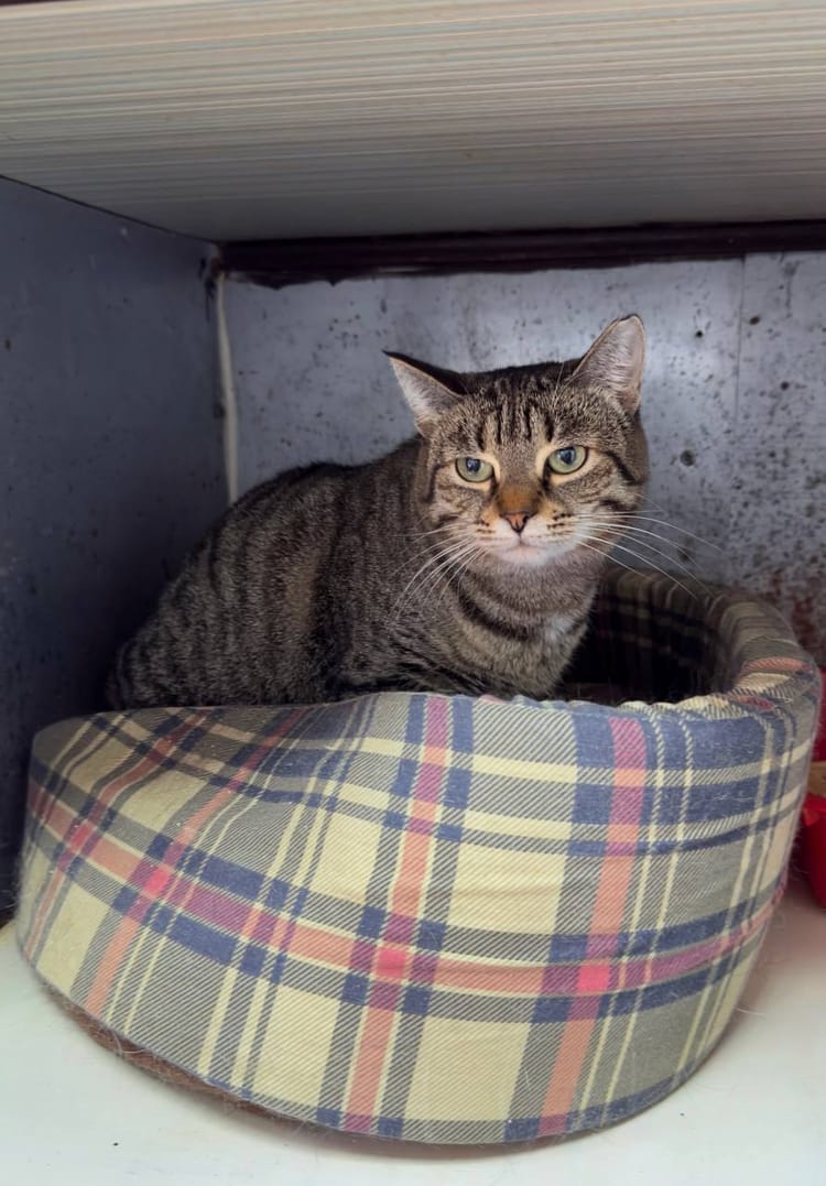 Маше предстоит выяснить причину судорог с помощью обследований — пожалуйста, помогите Маше