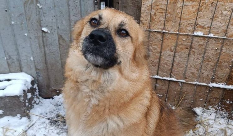 Ивушке нужны средства на реабилитацию после сложных операций