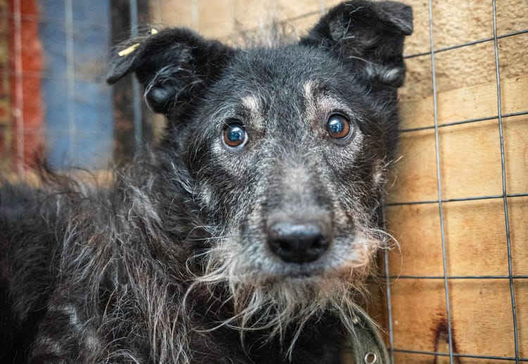 Ночке нужна инвалидная коляска после перелома позвоночника