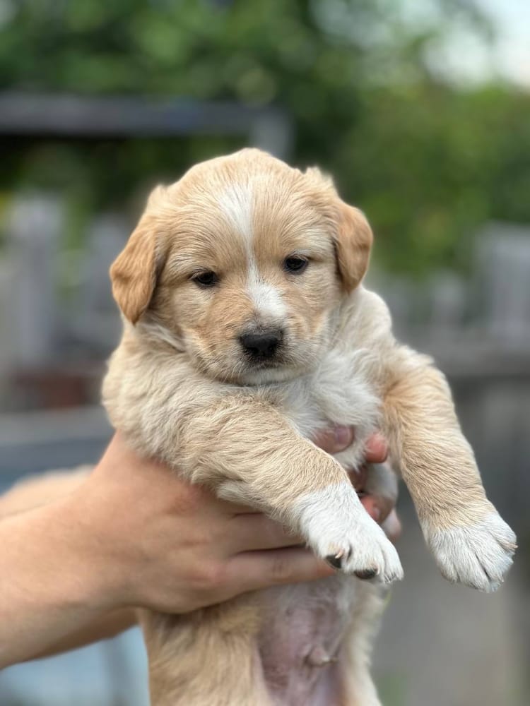 Спасти жизнь Рона и его братьев и сестёр помогут ваши пожертвования