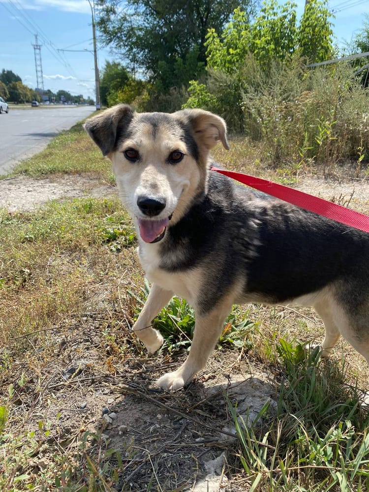 Пончуэлю нужна семья, чтобы преодолеть страх и начать всецело доверять людям