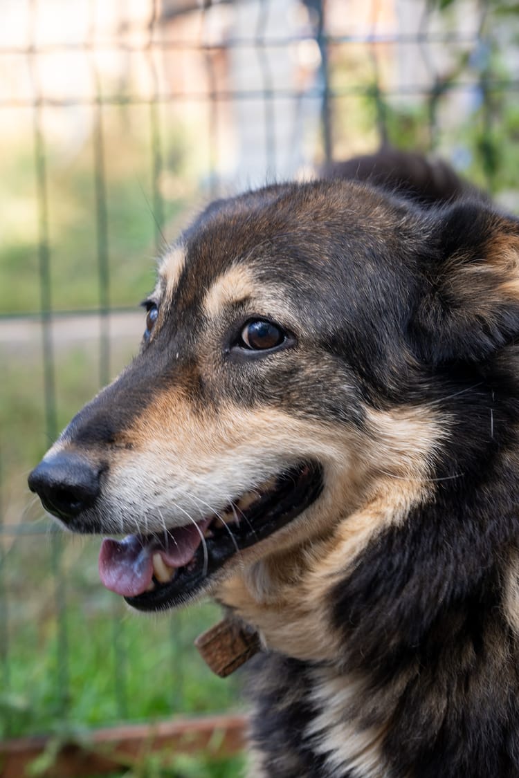Фросе нужна поддержка, чтобы преодолеть страх и поверить в людей